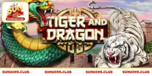 Rồng Hổ SUNWIN